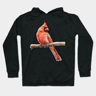 Cardinal Bird Inspired Paradise Hoodie